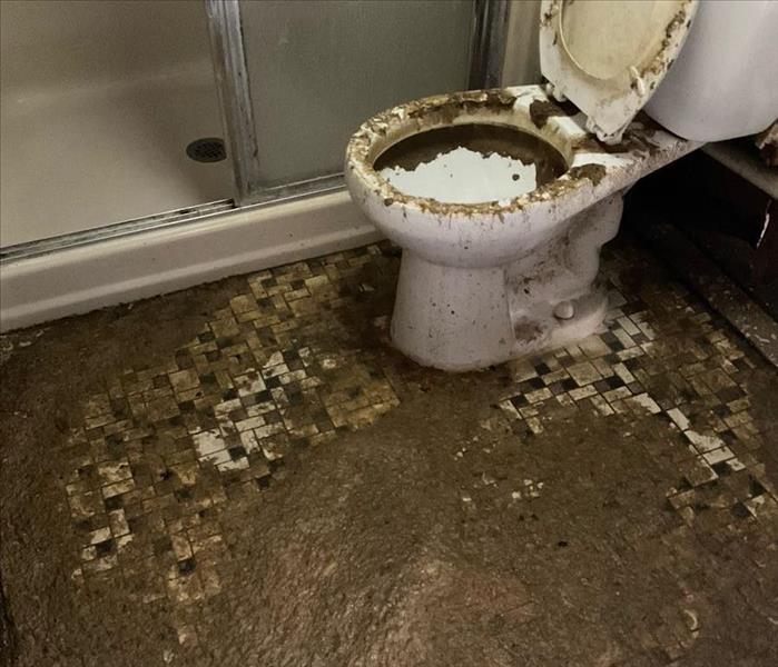 A sewage-caked toilet in a bathroom with a heavily sewage-covered tile floor