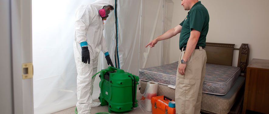 Fort Lee, NJ mold removal process